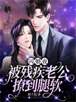 闪婚老公夜夜独妻