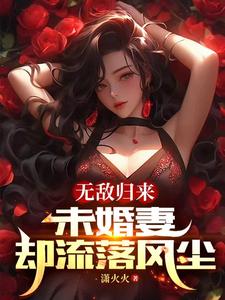 未婚妻归来小说