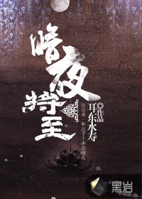 暗夜将至人物介绍分析