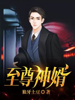 至尊神婿听书