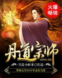 丹道宗师27集