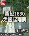 穿越1630之崛起南美小说解说