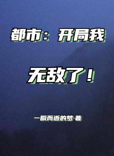 我开局就无敌 小说