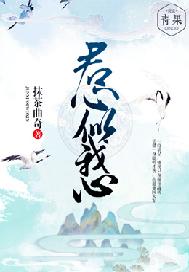 君心似我心小说