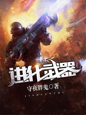 进化武器我的世界