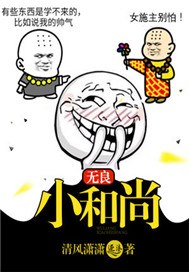 小和尚 小说